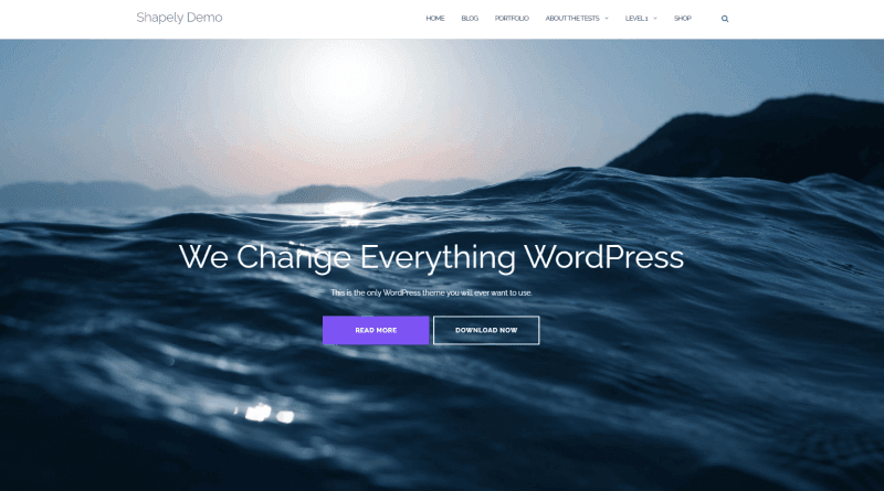 shapley-wordpress-single-page-theme.png